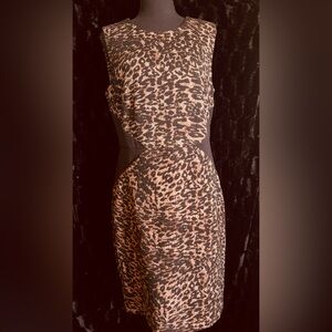 Calvin Klein Sleeveless Leopard Print Sheath Dress in Brown sz 12